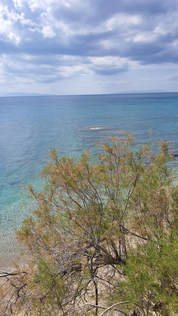 Paros Beach Hotel – AHT İç Mekân Yerden Isıtma
